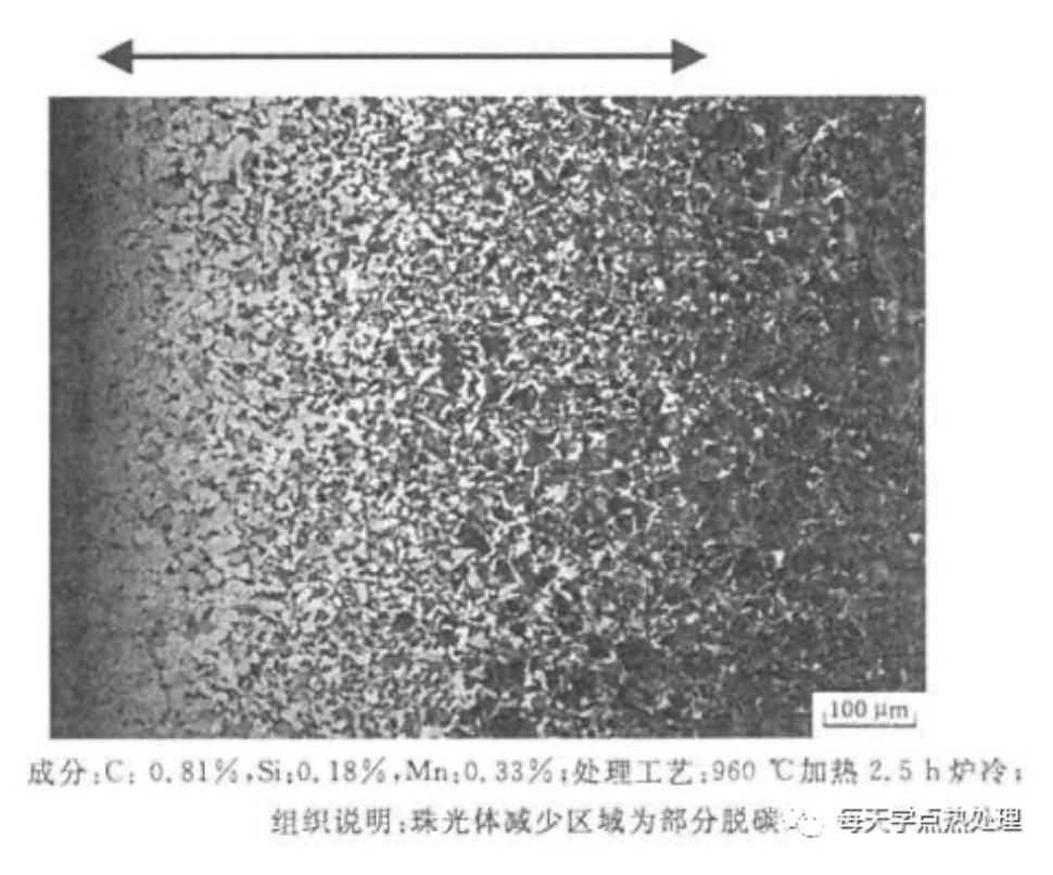 金相小课堂之脱碳篇(图6)